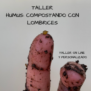Taller on line Humus: Compostando con lombrices
